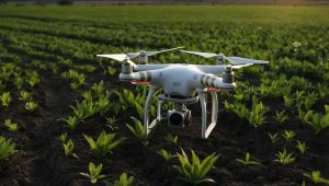 Agência Tráfego Pago para Agronegócio: Tenha Resultados Surpreendentes!